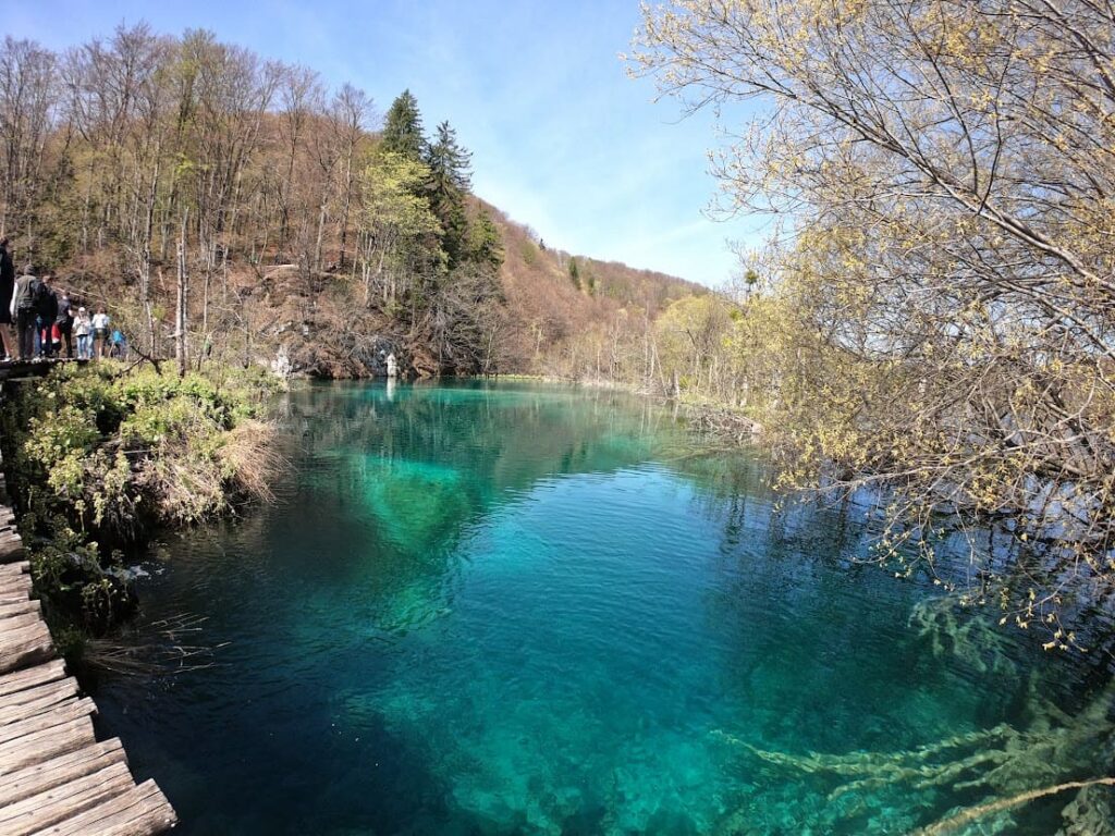 A beautiful blue/green lake with trees surrounding it at Plitvice Lakes, Croatia