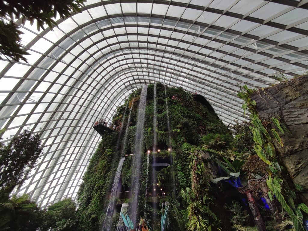 Inside the cloud forest with the waterfall pouring down
