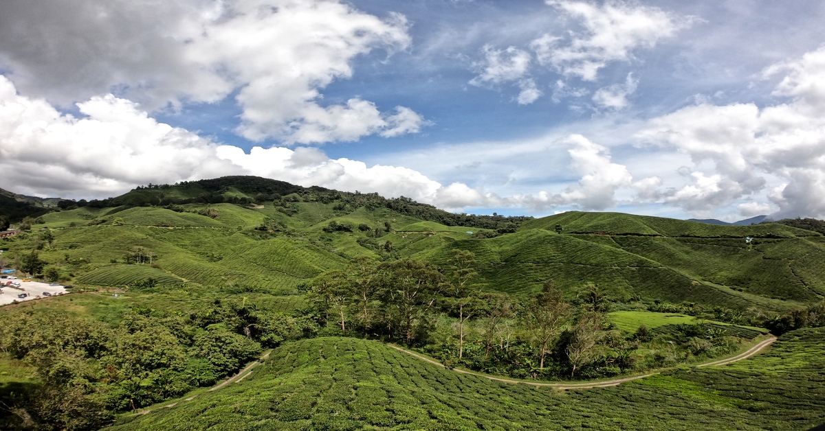 An Epic 2-Day Itinerary in the Cameron Highlands, Malaysia